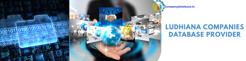 Ludhiana Companies Database Provider