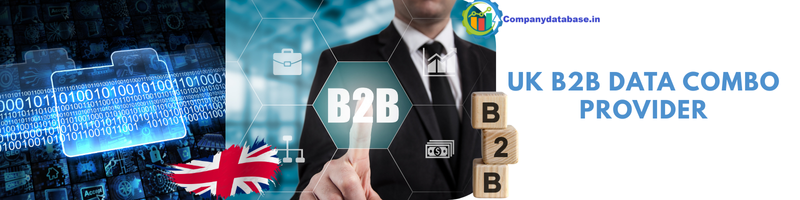 UK B2B Data Combo Provider