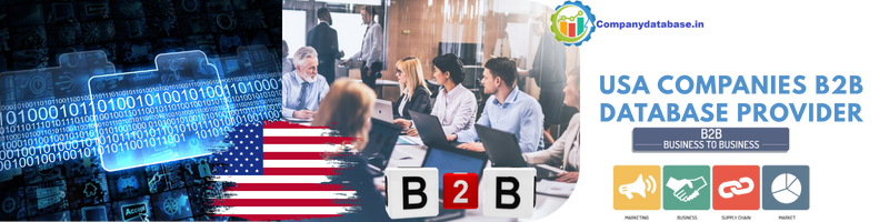 USA Companies B2B Database Provider