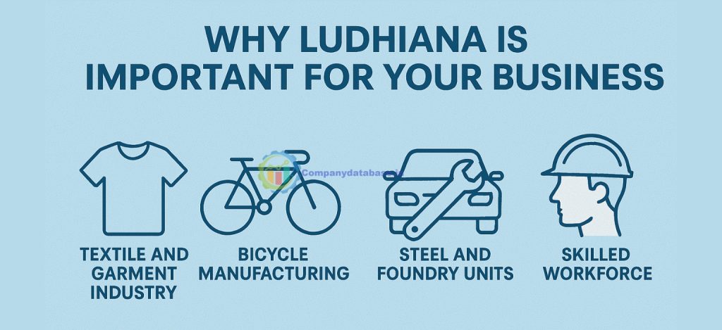 Why Ludhiana is Important for Your Business